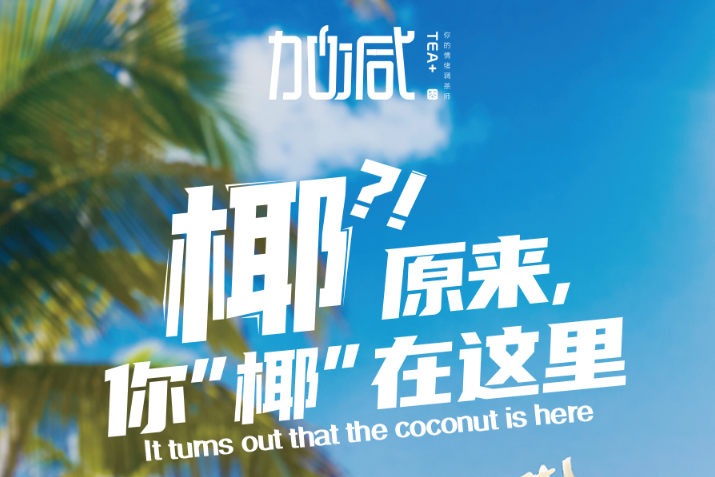 bbin宝盈椰子系列新品火爆上市